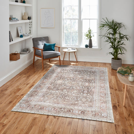 Traditional Persian Area Rug, Faded Distressed Earth tone Brown Terracotta Floral Vintage Living Room Bedroom Dining Kitchen Luxury Kitche