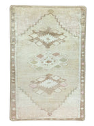 Ador Turkish Beige Faded Brown Rug-Rugs-Fame Rugs-2'x3' ft 60x90 cm-fame