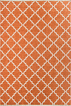 Aicha2 Moroccan Modern Orange Rug-Rugs-Fame Rugs-3'9"x5'9" 120x180cm-fame